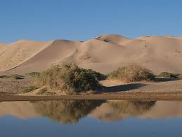 ゴビ砂漠