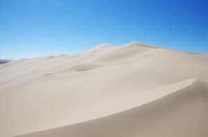 ホンゴル砂漠