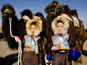 Mongolie Festival Chameau Best Of